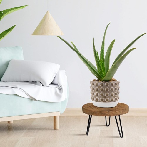 Mini support plantes - mini, en