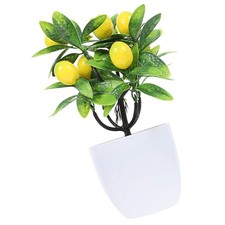  Bonsai Artificiel Plantes