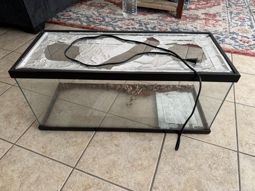 Reptile terrarium x - reptile,