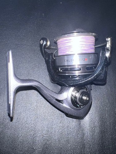 Moulinet pêche daiwa - pêche,