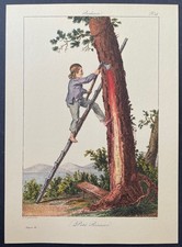 Bordeaux Petit Résinier par