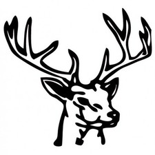 Autocollant Cerf animal