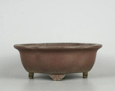 Pot à bonsaï japonais