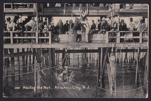 New jersey atlantic - new, jersey-nj-atlantic