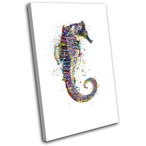 Seahorse ocean colourful - ocean,
