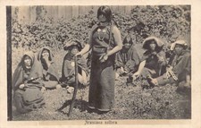 Argentina - Araucana soltera - POSTAL FOTO - Ed. desconocido