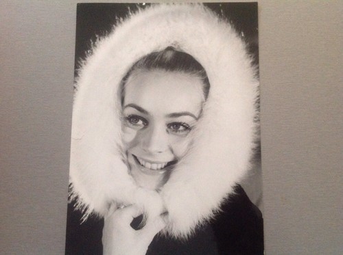Geneviève grad photo de - geneviÈve,