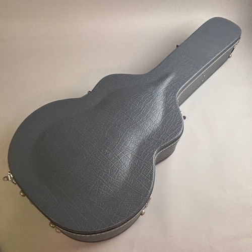 Ibanez af105 lbk electric - ibanez af105-lbk,