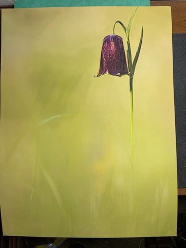 Litho après photographie - d’après,