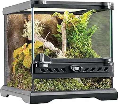 Exo terra glass - terra, terrarium