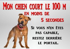 plaque chien staff american