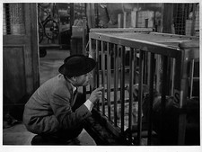 PIERRE BERTIN DANS "MON PHOQUE