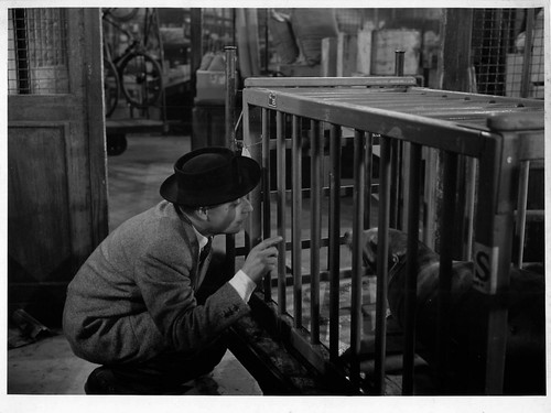 Pierre bertin dans - bertin, "mon