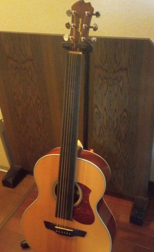 James parlor acoustic - parlor, guitar