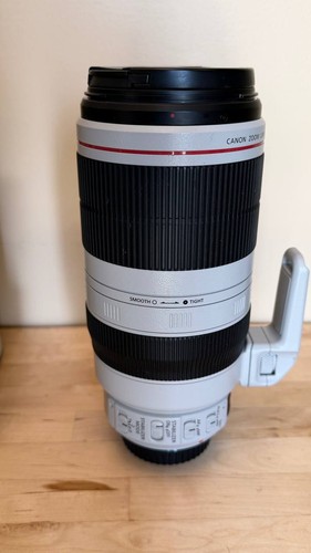 Canon 100 400mm 5 - 100-400mm, f/4.5-5.6l