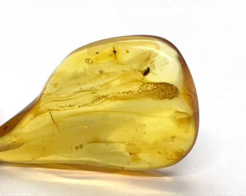 Pendentif ambre baltique - pendentif,