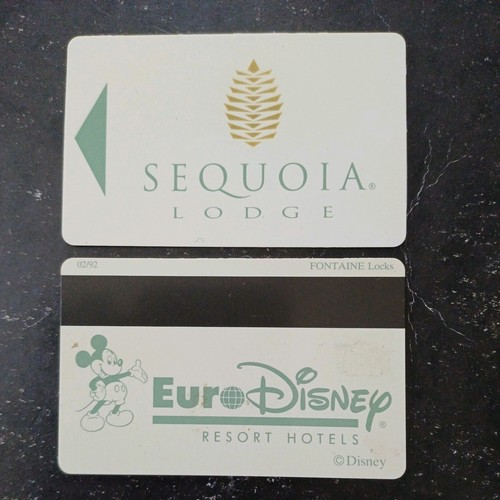 Pass euro disney disneyland - pass,