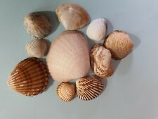 BEAU PETIT LOT n° 1 DE 9