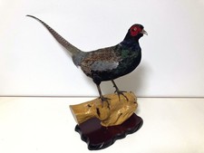 animaux en peluche japonais