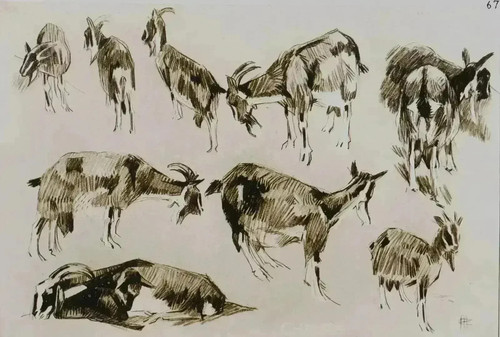 Mathurin meheut la chèvre - mathurin,