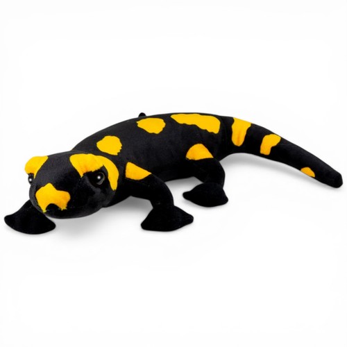 Salamandre feu carl - salamandre,