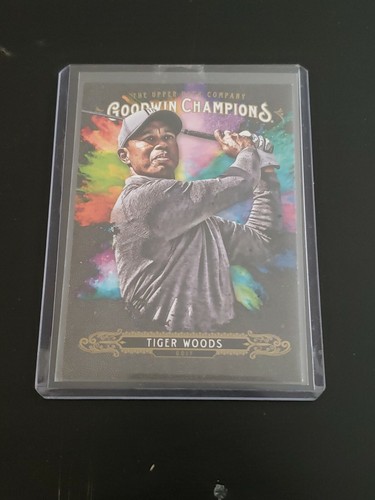 Tiger woods 2018 - woods, upper