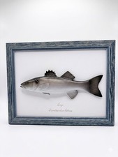 Cadre Poisson Loup Bar -