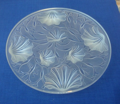 V48 dessous plat verlys - dessous,