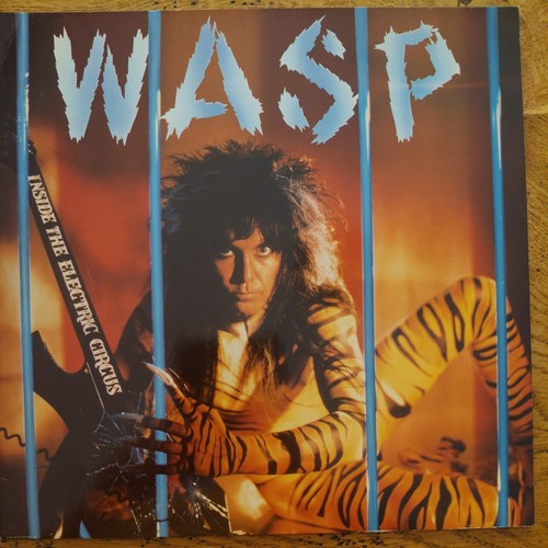 Wasp incide the electric - wasp,