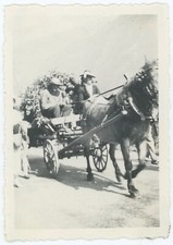 Le char fleuri. Le guide