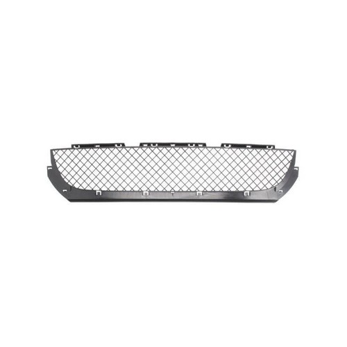 Grille pare choc avant - grille,