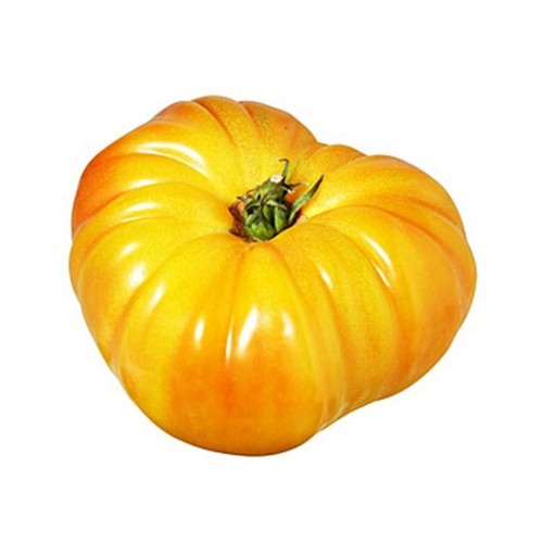 Graines tomate ananas - graines, de