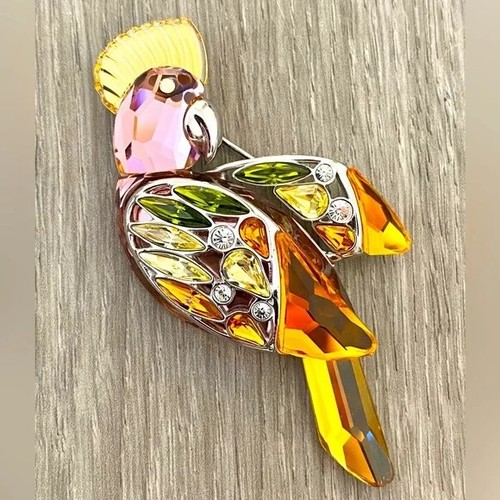 Broche argent perroquet - broche,