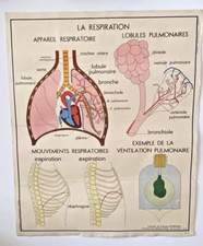 Ancienne Carte Scolaire Rossignol N°7 et N°8 La Respiration
