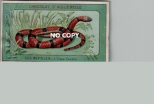 Lot de 2 chromos Chocolat d'AIGUEBELLE - Serpents ELAPS et BOA CONSTRICTOR