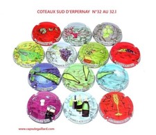 Série de 13 Capsules de