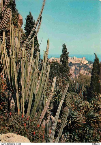 Carte postale fleurs - carte,