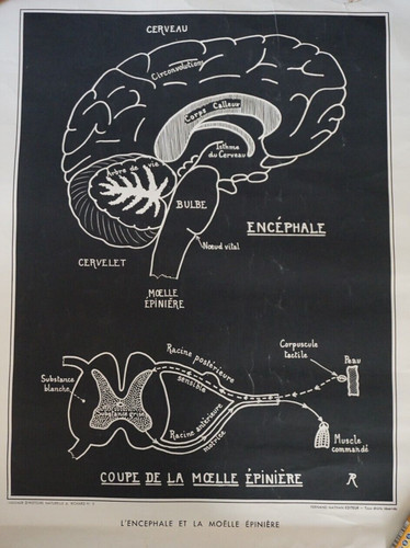 Litho affiche scolaire - scolaire, a