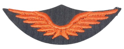 Insigne casquette troupe - insigne, de