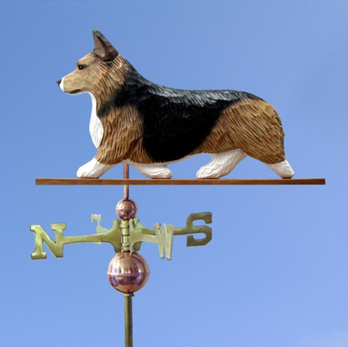 Welsh corgi pembroke - welsh,