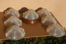 7 coupelles de lustre art déco Ezan france 50-80 en verre opalescent **.