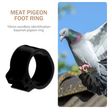 100 Pcs Bague Oiseaux Anneaux