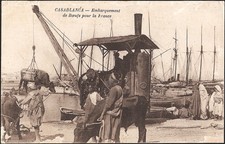 MAROC / CASABLANCA - Embarquement des Bœufs pour la France
