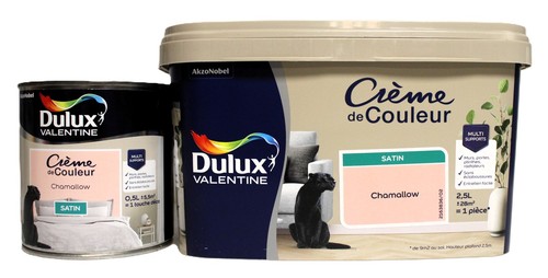 Lot peinture dulux valentine - lot,