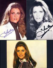 LOT de 3 CARTES POSTALES de