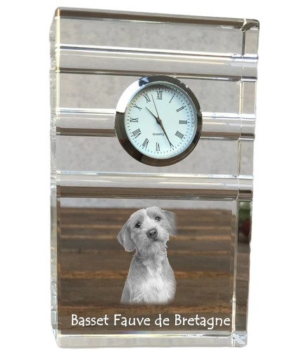 Basset fauve bretagne - fauve,