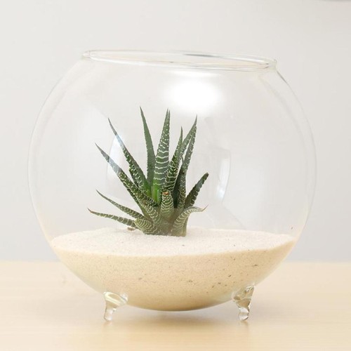 Vase hydroponique fleur - hydroponique,