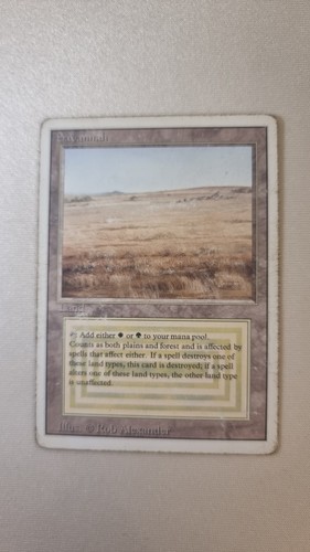 Magic mtg savannah - mtg,