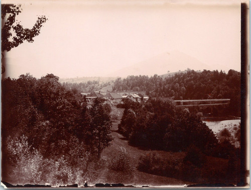 France cimes des arbres et - des,