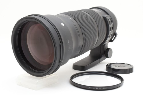 Near mint sigma sports - mint],